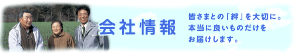 にんにく卵油のダイワヘルス研究所会社情報