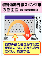 スーパーダンディの断面はこうなっています。